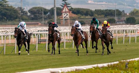 Key Terminology for Horse Betting .